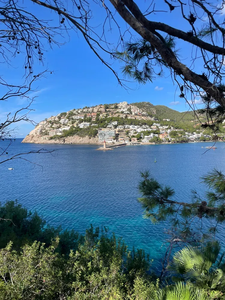 Camp de Mar coastal road cycling between Paguera and Port d'Andratx in Mallorca
